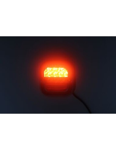 Tail lamp LED Neon2 1224V left