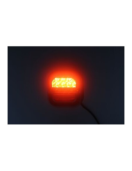 Tail lamp LED Neon2 1224V left