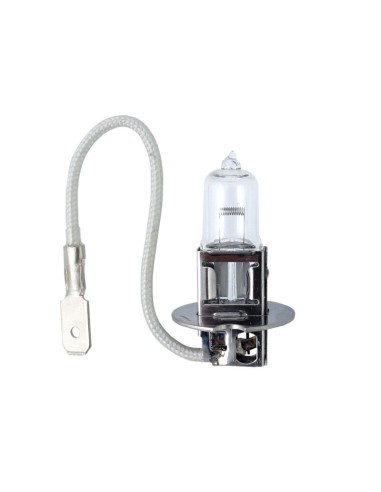 10x H3 Glühbirnen Lampen Glühlampen Autolampen PK22s 12V 55W UV Filter E4