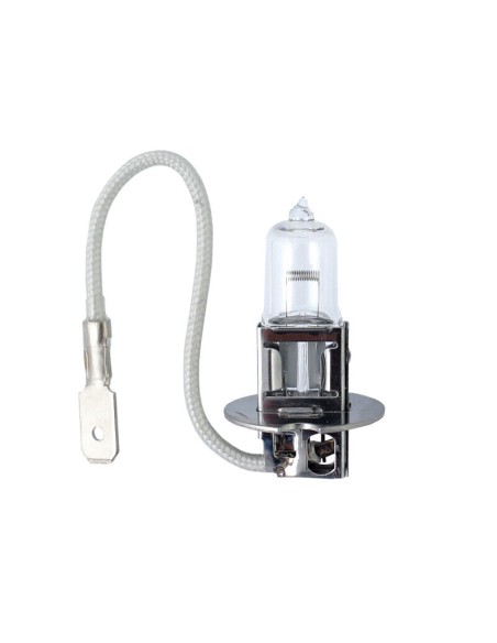 10x H3 Glühbirnen Lampen Glühlampen Autolampen PK22s 12V 55W UV Filter E4