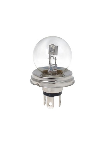 10x R2 Glühbirnen Lampen Glühlampen Autolampen P45t 12V 45/40W UV Filter E4