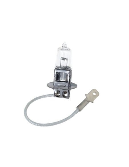 10x H3 Glühbirnen Lampen Glühlampen Autolampen PK22s 24V 70W UV Filter E4
