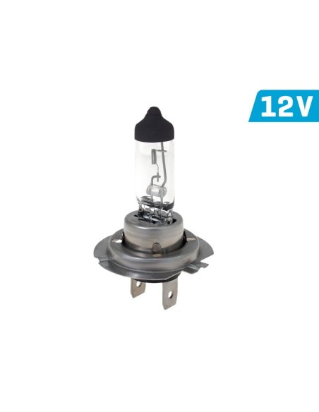 10x H7 Glühbirnen Lampen Glühlampen Autolampen PX26d 12V 55W E4 UV Filter