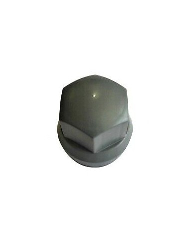 10x Grau Radmutterkappen Ø32 mm  Radmutterabdeckung Radmutterschutz Kappe LKW